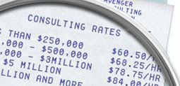 Techie Avenger Consulting Rates